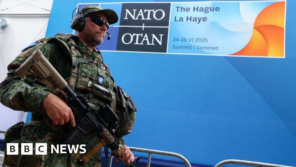 Germany vows to pay its 'fair share' on defence as Nato prepares for summit