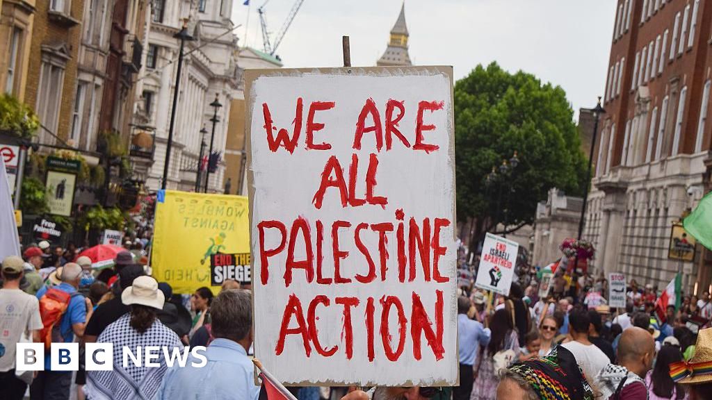 Met chief 'shocked' by planned Palestine Action protest