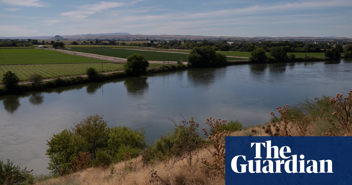 Trump pulls US from plan to recover salmon population, calling it ‘radical’