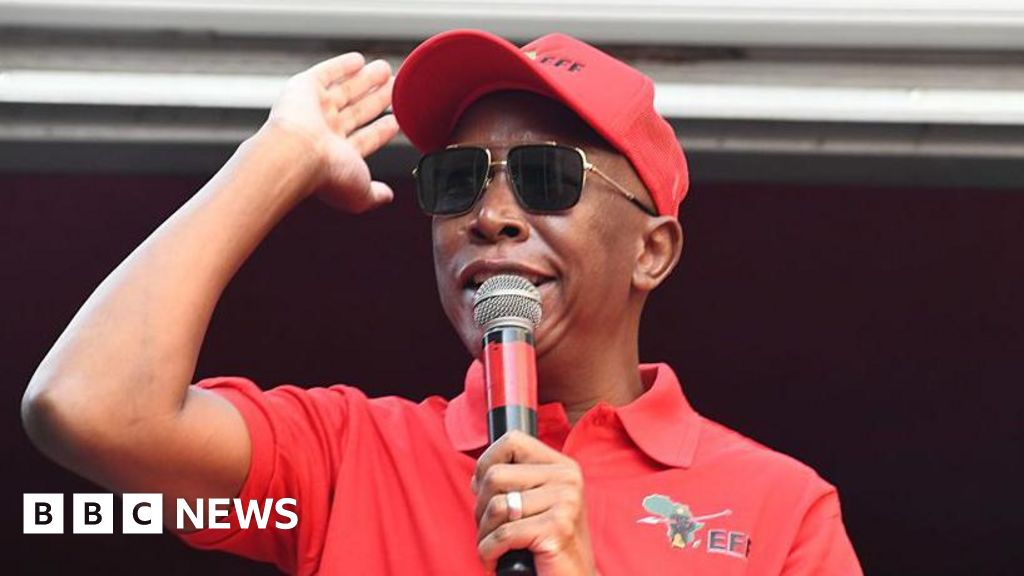 Julius Malema: South African politician banned from UK by Home Office