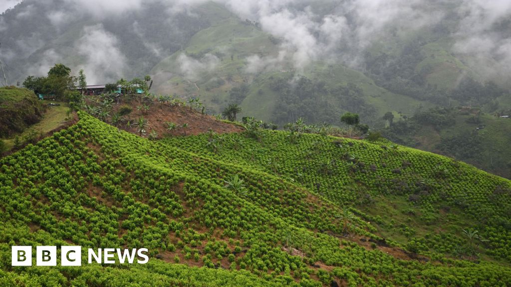 Dozens of soldiers seized in Colombian mountains