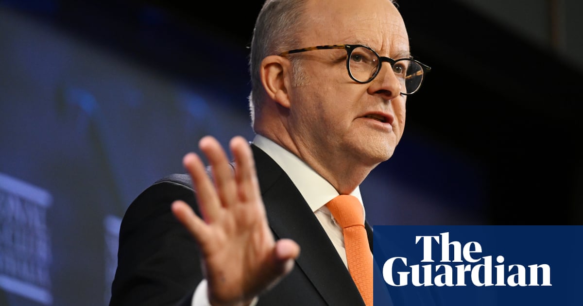 Anthony Albanese calls rubber bullet shooting of Australian journalist in LA 'horrific'– video