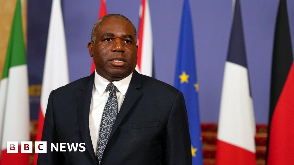 UK preparing to charter flights from Israel, Lammy says