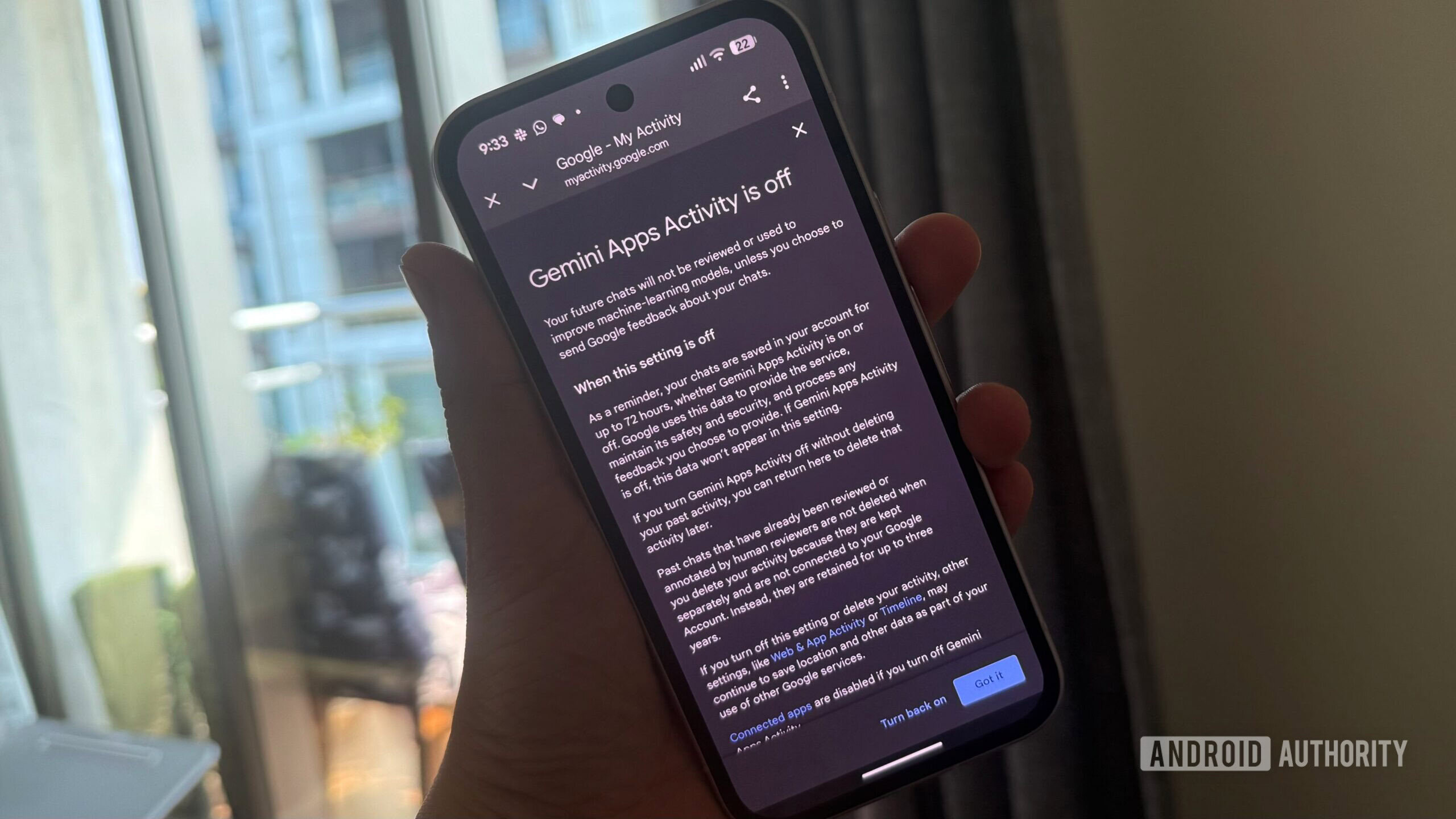 Gemini App Activity Screen On Pixel 9a