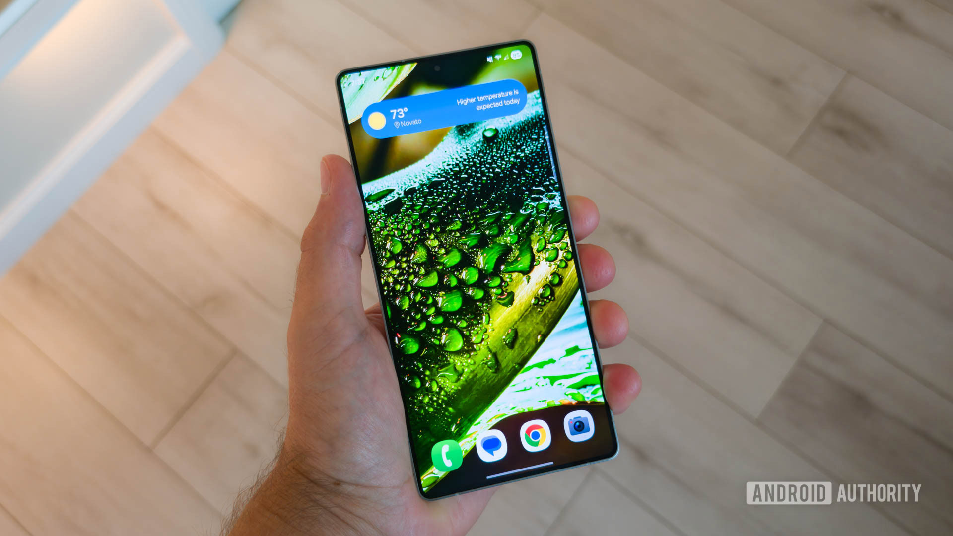 Wallpaper Wednesday 2025 06 11