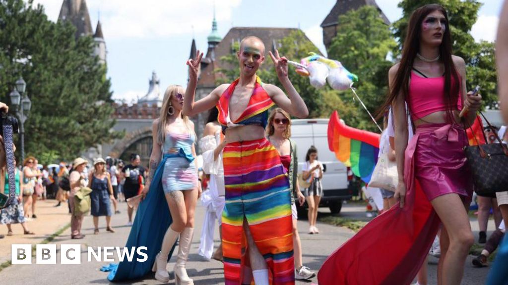 Police ban Budapest Pride march, but mayor vows it will go ahead