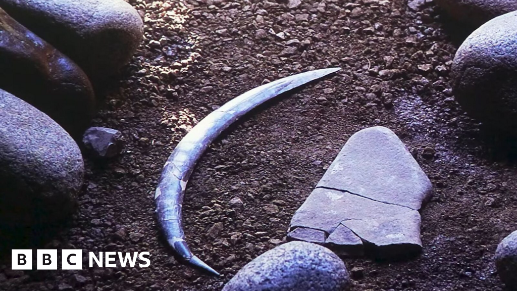 World's oldest boomerang doesn't actually come back