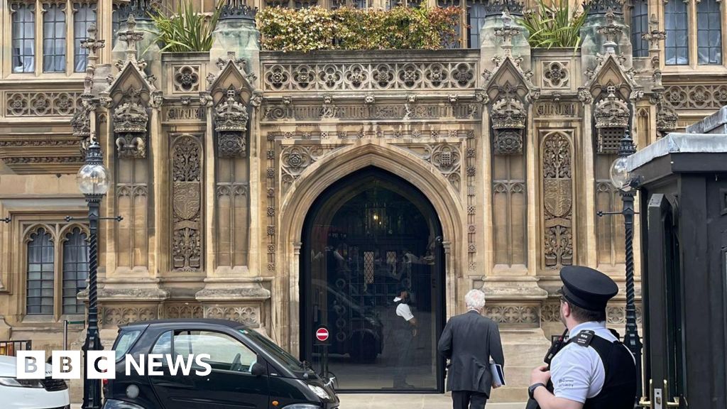 Peers criticise £9.6m House of Lords front door