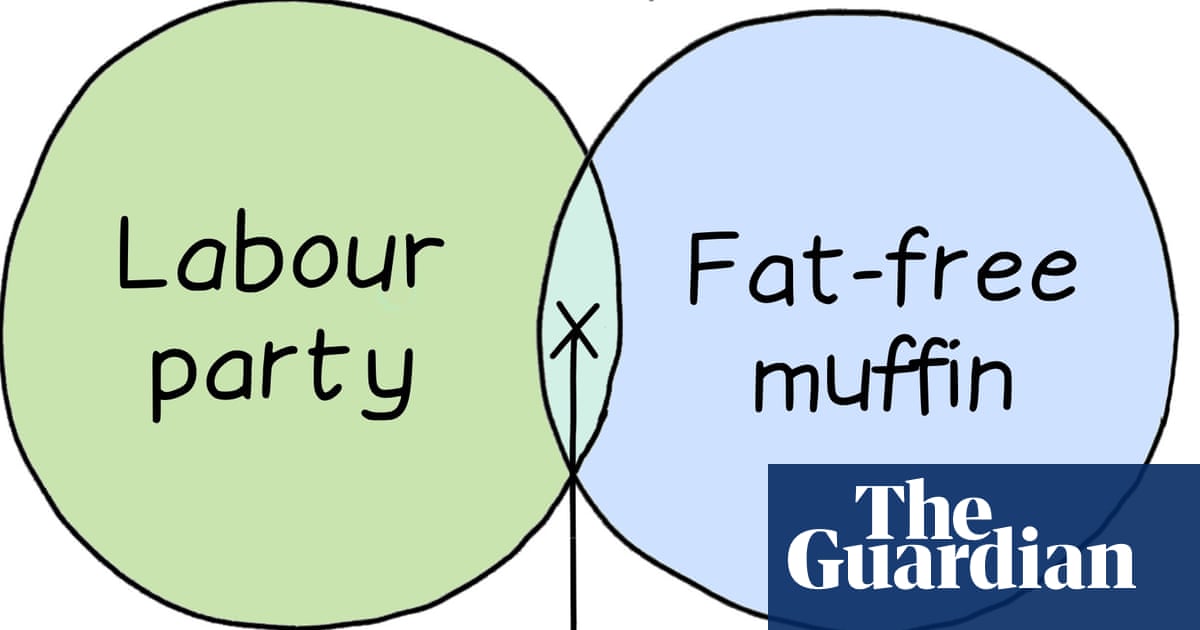 From the Labour party to a fat-free muffin: Edith Pritchett’s week in Venn diagrams – cartoon