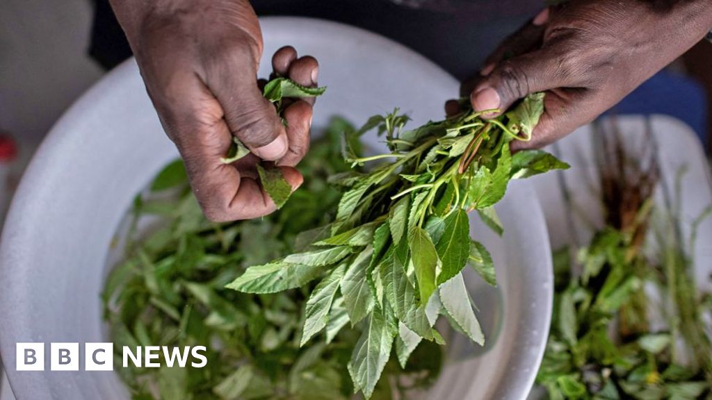 Forgotten 'weeds' prove a culinary hit in Kenya