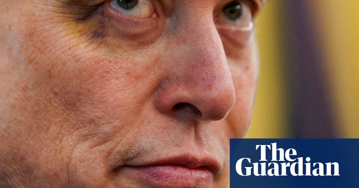 Elon Musk’s proposed new political party could focus on a few pivotal congressional seats