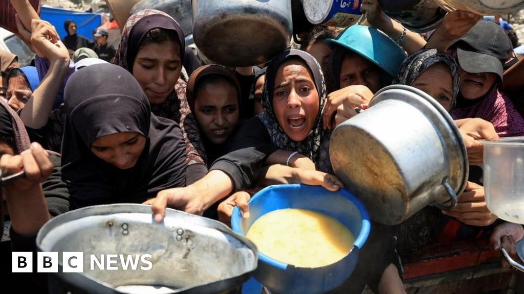 'All the people are hungry': Voices from Gaza on desperate lack of food