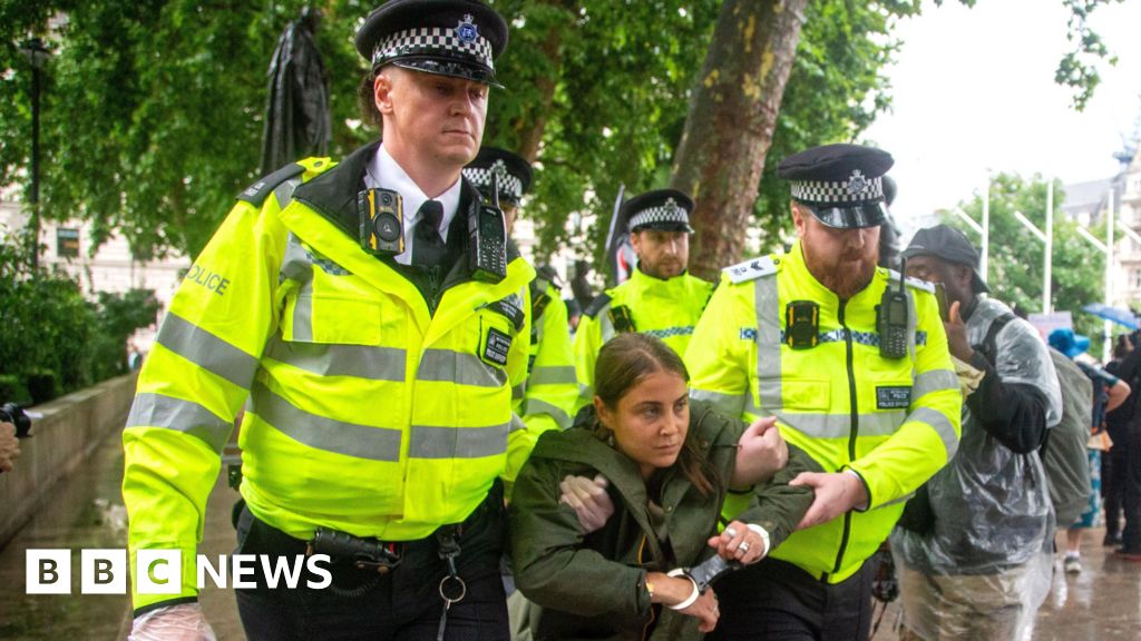 UN human rights chief criticises UK Palestine Action ban