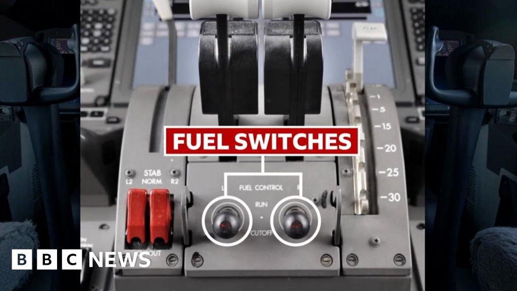 BBC correspondent explains the role of fuel switches