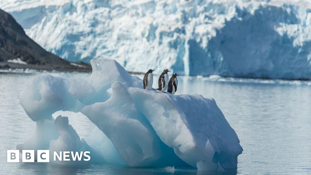 American teen pilot detained on small island in Antarctica