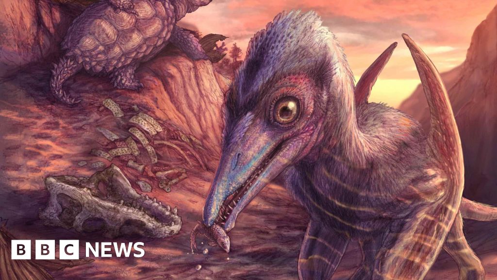 200 million year-old flying reptile species found