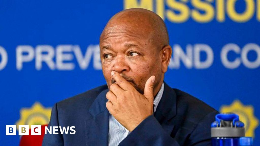 Senzo Mchunu: Nhlanhla Mkhwanazi accuses South African police minister of links to criminal gangs