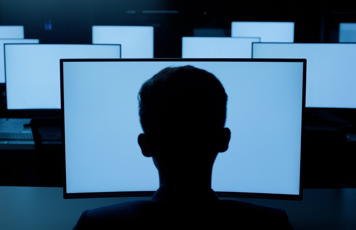 Person, desktop or blue screen at night in information technology lab with back of developer or programmer. Software development, networking and system administration for computer or connection