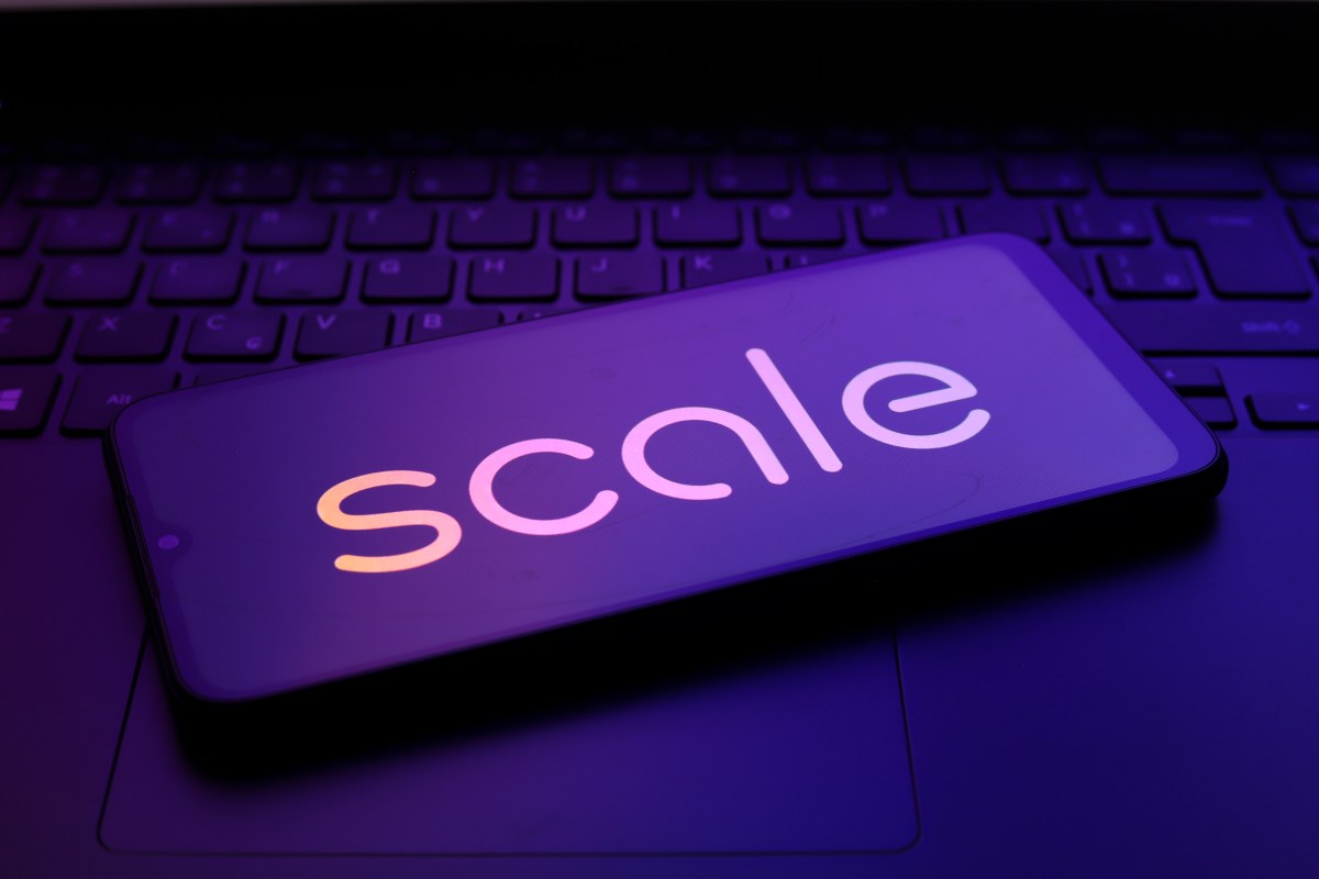 Scale AI lays off 14% of staff, largely in data-labeling business | TechCrunch