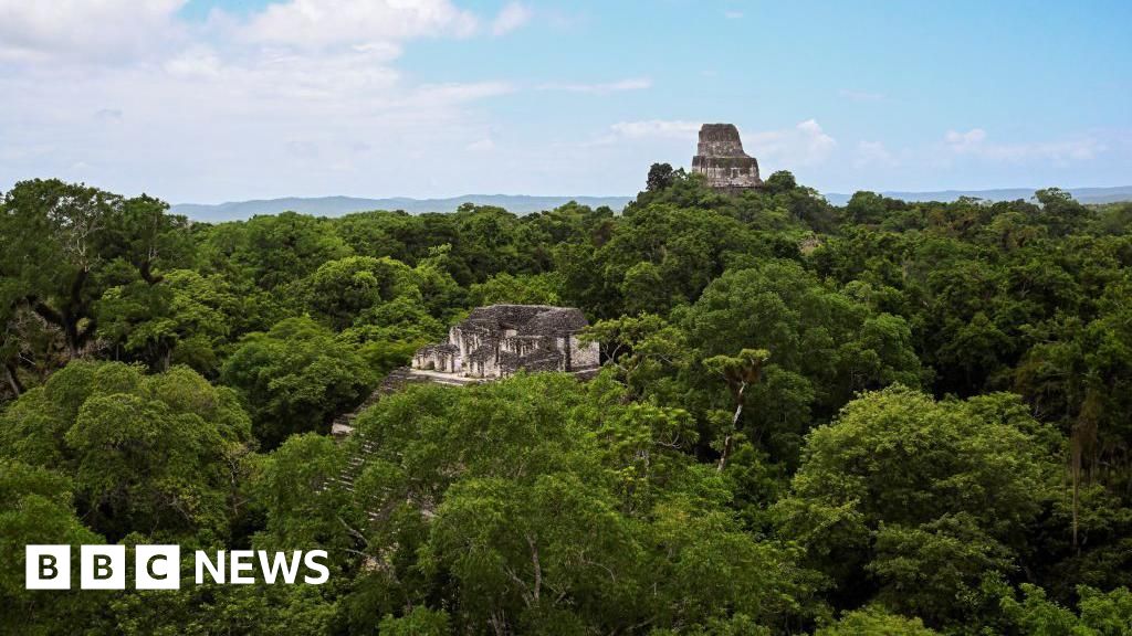 Skeleton in Guatemalan jungle likely US birdwatcher missing since 2023