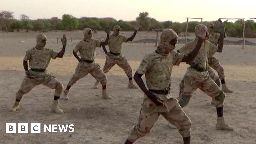 How an al-Qaeda offshoot became one of Africa's deadliest militant groups