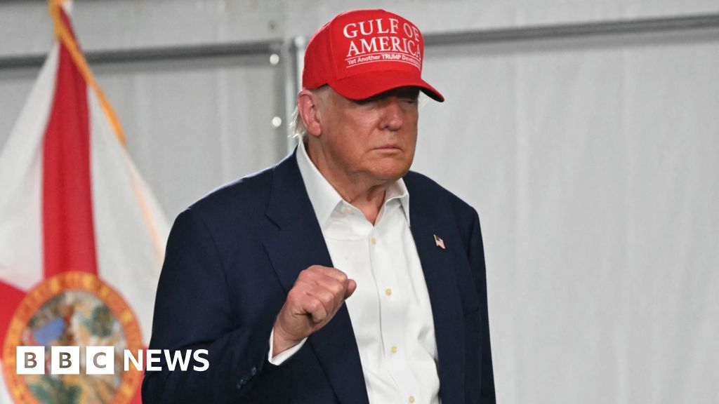 US Senate Republicans narrowly pass Trump's 'big, beautiful'  bill