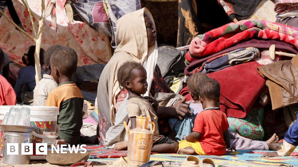 Darfur, Sudan: war crimes are being committed, says ICC