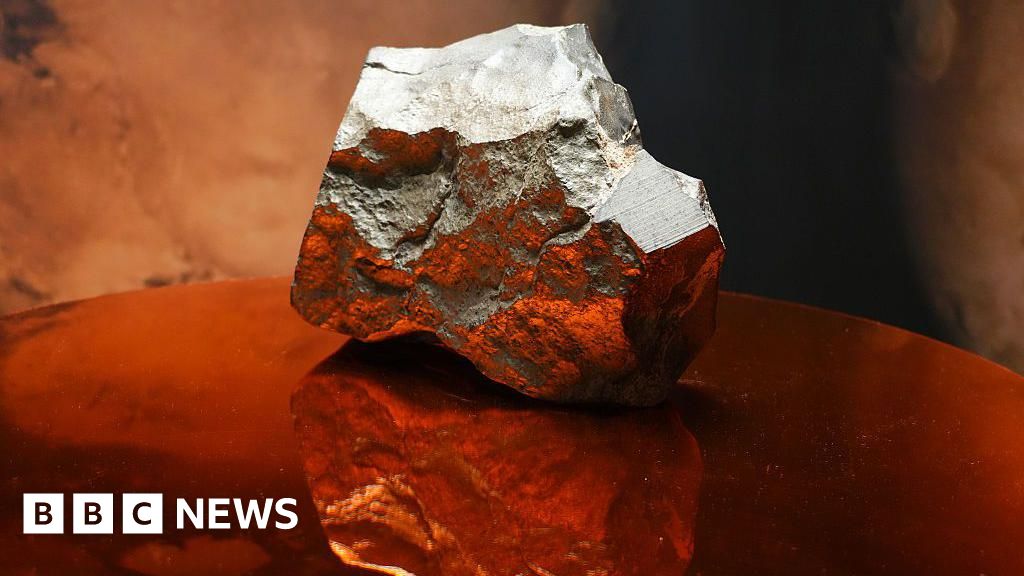 Largest Mars rock ever found on Earth sells for $4.3m at auction