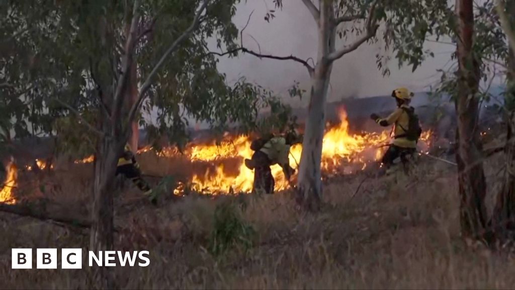 Watch: Police evacuate residents as wildfires rage in Spain