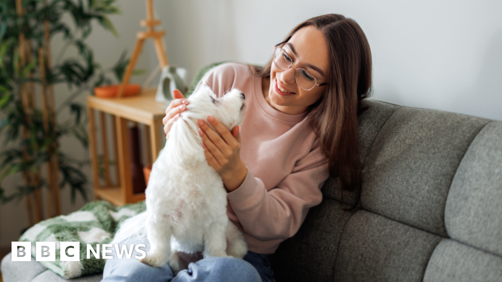 Ministers ditch pet insurance rule for renters in England
