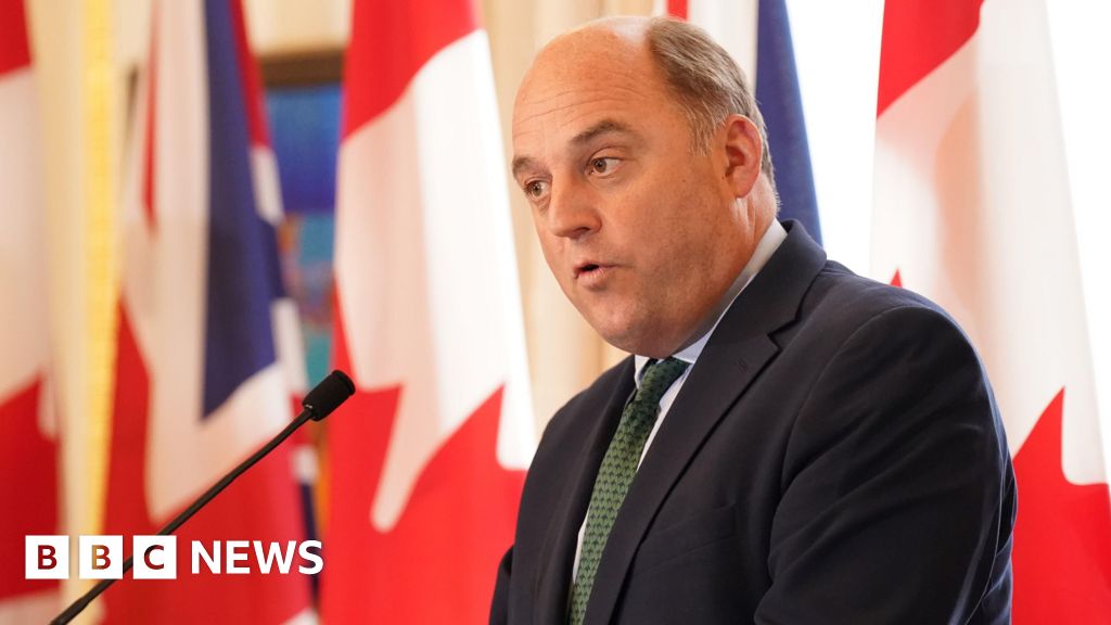 Ben Wallace says he makes 'no apology' for Afghan injunction